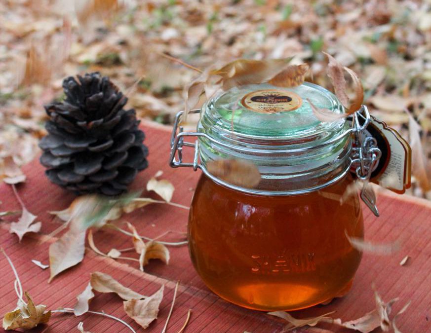 HONEY EXPORT FROM IRAN