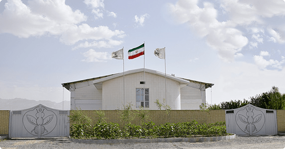 HONEY MANUFACTURERS IN IRAN